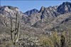 Catalina State Pk Mountains, Landscape~ AZ~ Catalina St Pk