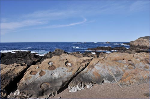 Pacific Ocean, Landscape~ CA~ Monterey County