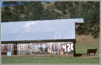 Painted Barn