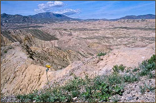 Anza Borrego Desert, Landscape~ CA~ Surprise Valley