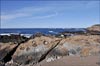Landscape~ CA~ Monterey County, Pacific Ocean