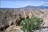 Landscape~ CA~ Surprise Valley, Anza Borrego Desert